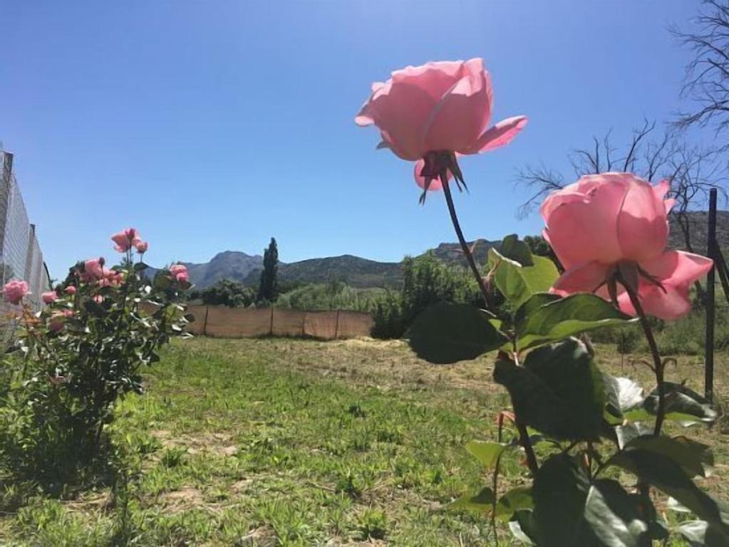 Casa Rural La Maestra Ронда Экстерьер фото